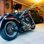 Profile Picture of Scott Cassidy (@alfonzocassidy) on Instagram