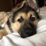 Profile Picture of Renee Lambert (@renelambert1238) on Instagram