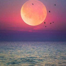 Profile Picture of Jacqueline Skinner (@jableu) on Pinterest