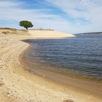 Profile Picture of Sofia Gaspar (@sofia-gaspar-8) on Quora