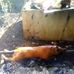 Profile Picture of Kenneth Pasco (@kenneth.pasco.921) on Facebook