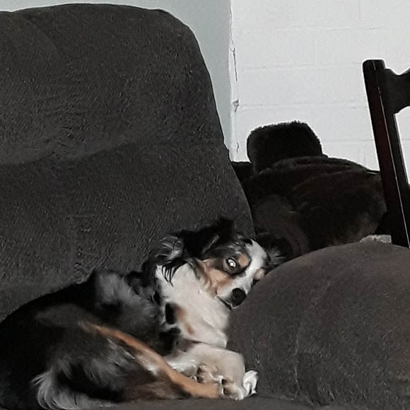 Profile Picture of Ty Watson (@bigboiwatson) on Poshmark