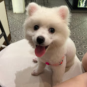 Profile Picture of Florence Nguyen (@florencenguyen2749) on Youtube