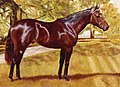 Profile Picture of Saratoga Special Stakeson Wikipedia