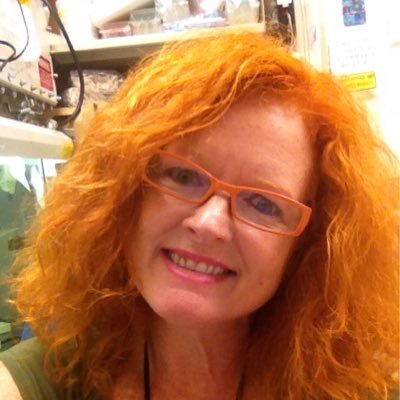 Profile Picture of Sherri Pace Surman (@sherrisurman) on Twitter