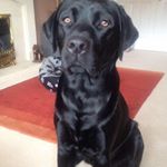 Profile Picture of Andrew Smedley (@andrew.smedley3) on Instagram