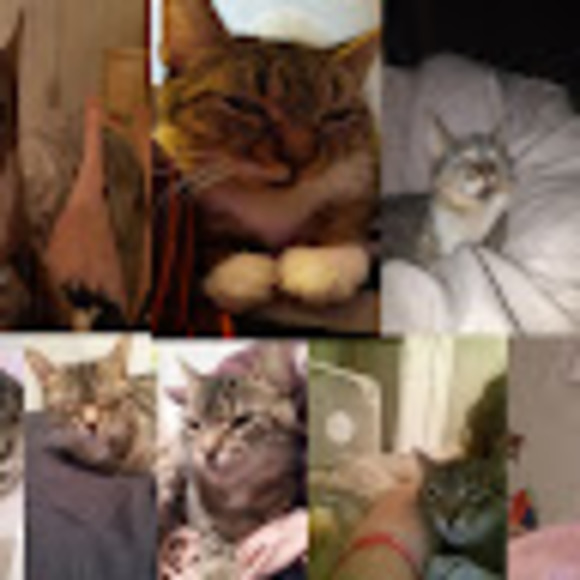 Profile Picture of Sara Tidman (@tidmansara) on Poshmark