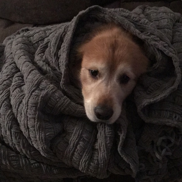 Profile Picture of Alex Oancea (@alexoancea17) on Poshmark