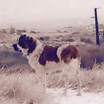 Profile Picture of Michael Maybury (@maybmich) on Instagram