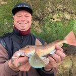 Profile Picture of Stephen Howard (@shandybass393) on Instagram