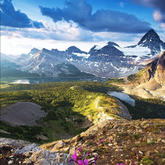 Profile Picture of Dalal Bazzi (@dalalbazzi) on Poshmark