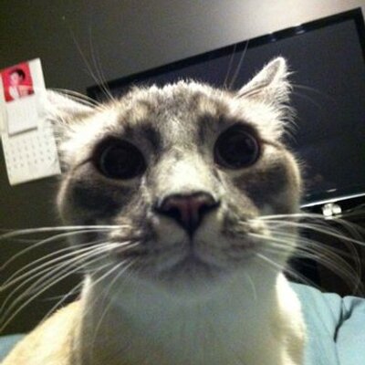 Profile Picture of Derek Worley (@D_worlz) on Twitter
