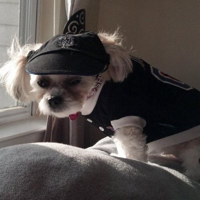 Profile Picture of Andrew Cure (@AndrewCure24) on Twitter