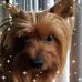 Profile Picture of Phyllis Hanson (@phyllis.hanson.169) on Facebook