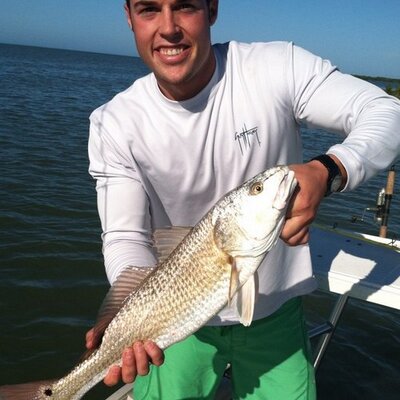 Profile Picture of Seth Bloom (@sethbloom1) on Twitter