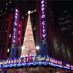 Profile Picture of Sherrie Mank Lisson (@sherriemanklisson) on Instagram