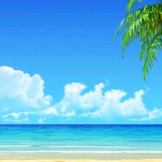 Profile Picture of Carly Muller753 (@carlymuller4) on Tiktok