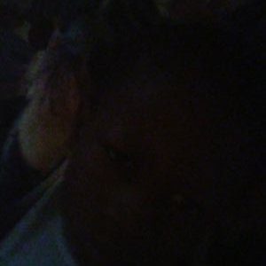 Profile Picture of James Blakemoe (@james_blakemoe) on Twitter