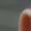 Profile Picture of Peter Hicks (@Peter and June) on Flickr