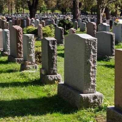 Profile Picture of Tanner Mueller (@TannerMueller8) on Twitter