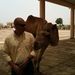 Profile Picture of James Mohney (@jamesm3928) on Pinterest