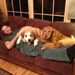 Profile Picture of Michael Violette (@yellowzx5) on Pinterest