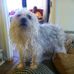 Profile Picture of Alberta Smith (@alberta.smith.77) on Facebook