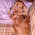 Profile Picture of Scott Peace (@scott.peace.355) on Facebook