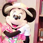 Profile Picture of cibochi (@cibochi) on Instagram