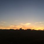 Profile Picture of Tommy Husk (@prescott_tomp) on Instagram