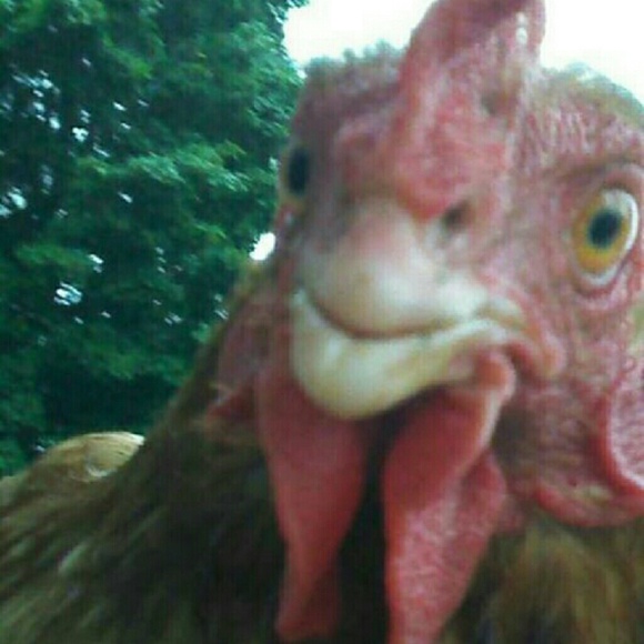 Profile Picture of Amanda Booker (@amandabook14) on Poshmark