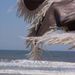 Profile Picture of Lori Gill (@loringill) on Pinterest