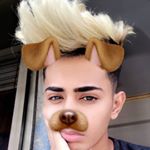 Profile Picture of ֆǟʍɛɛʀ ֆɦǟɨkɦ🦁 (@sameer_shaikh9004) on Instagram