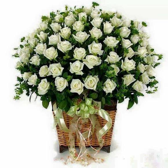 Profile Picture of Hermione Dormevil (@hermioned) on Poshmark