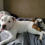 Aaron Alan Post - Instagram Profile Picture of Aaron Alan Post (@aaron.a.post) on Instagram