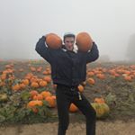 Profile Picture of Alex Hill (@wyld_scallyns) on Instagram