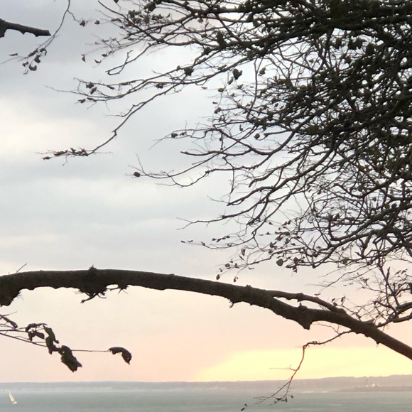 Profile Picture of Destiny Rose (@desrose33) on Poshmark