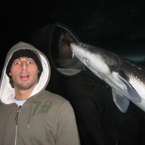 Profile Picture of Edward Schwartz (@335451125) on Myspace