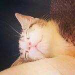 James Whitmarsh - Instagram Profile Picture of James Whitmarsh (@jamesaw22) on Instagram