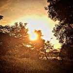 Antonia Ludington - Instagram Profile Picture of Antonia Ludington (@antonialudington) on Instagram