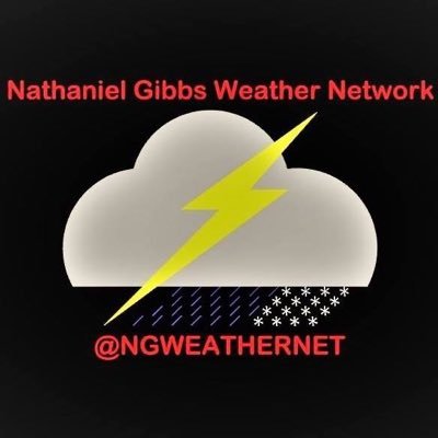 Profile Picture of Nathaniel Gibbs Weather Network (@NGWeatherNet) on Twitter