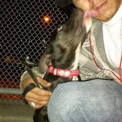 dustinscholfield - Tiktok Profile Picture of dustinscholfield (@dustinscholfield) on Tiktok