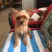 Profile Picture of Richard Gardner (@richard.gardner.7927) on Facebook