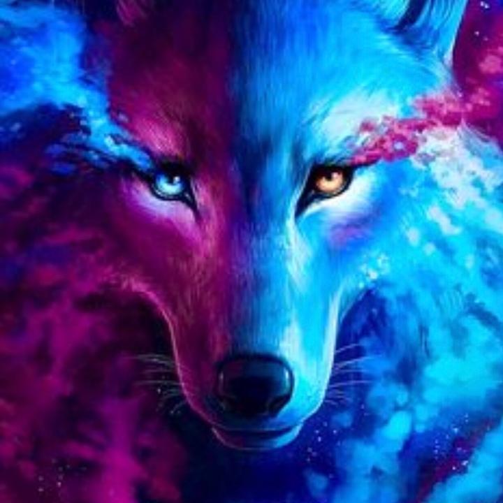 Profile Picture of Michael Cannon (@@official_galaxy_wolf) on Tiktok