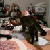 Profile Picture of Daniel DiFazio (@daniel.difazio.5) on Facebook