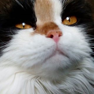 Profile Picture of Swantje Sander (@sawntje.sander) on Facebook