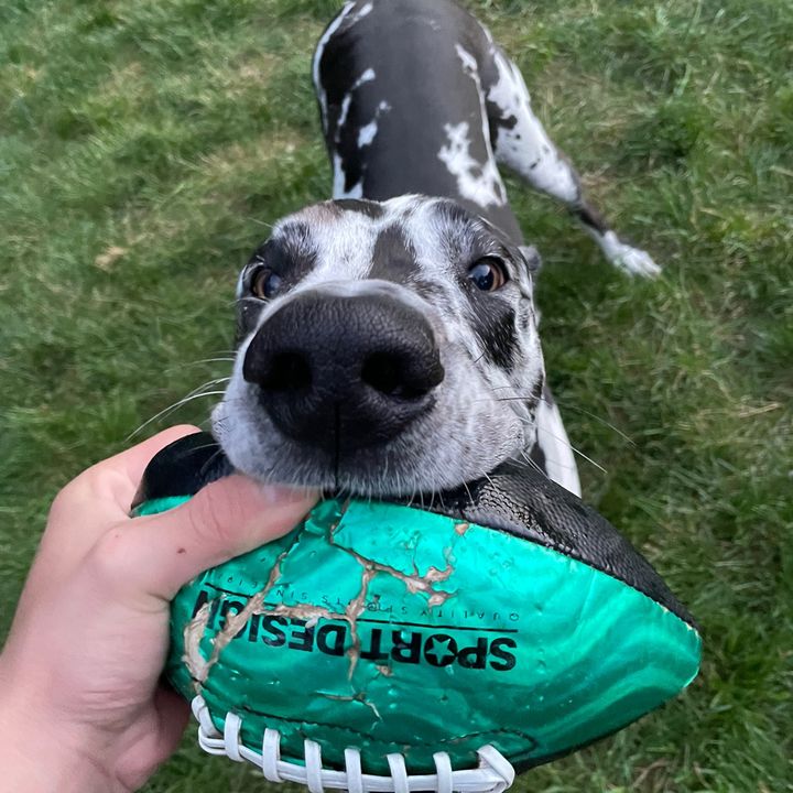 Profile Picture of grabowski_2027 (@grabowski27) on Tiktok