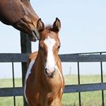 Profile Picture of Michael J. Sox (@michaeljsox) on Instagram