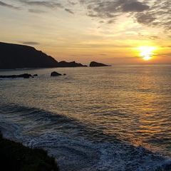 Profile Picture of scottraffe (@scottraffe) on Tiktok