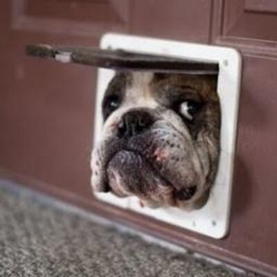 Profile Picture of Josh Cooney (@Lyketini) on Twitter